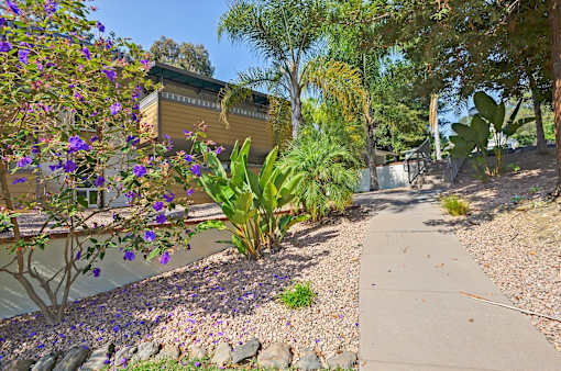A garden with a pathway, trees, and flowering plants.