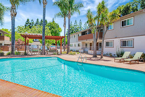 A swimming pool surrounded by palm trees and lounge chairs.
