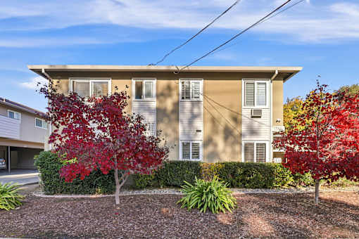 A beige building with a red tree in front.