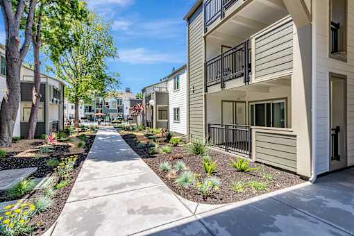 A row of modern townhouses with a sidewalk and landscaping.
