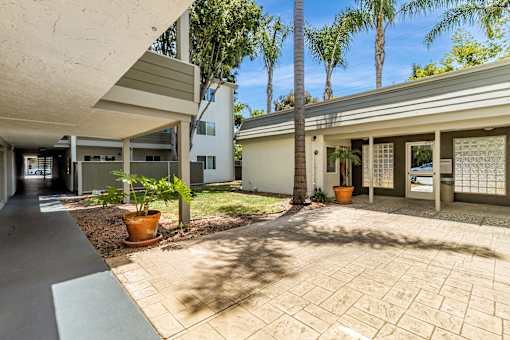 A modern house with a driveway and a palm tree.