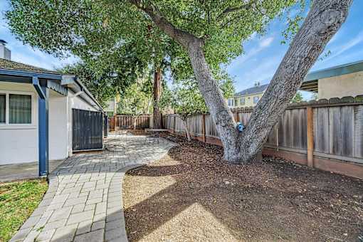 A tree with a blue tag on it is in a backyard.