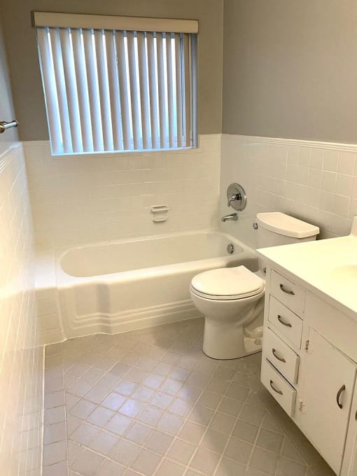 a bathroom with a toilet and a sink and a window