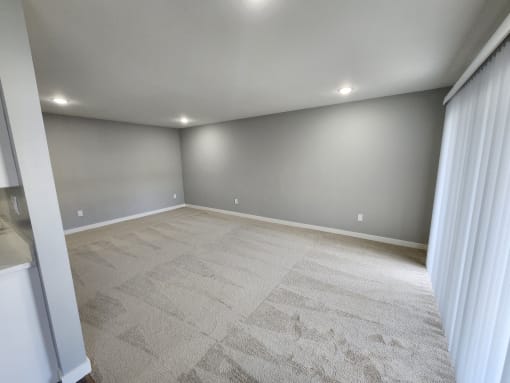 a room with a carpeted floor and gray walls and a window