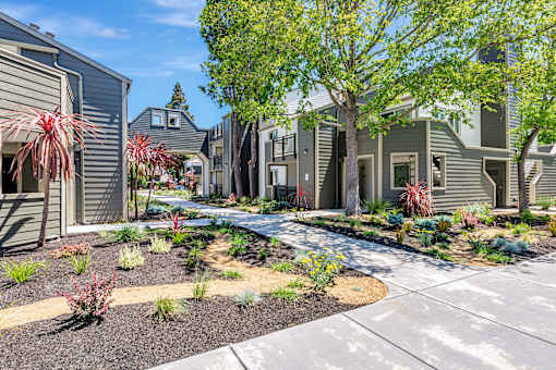 A residential area with houses and a well-maintained garden.