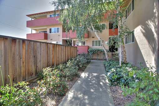 Courtyard Garden Space at Californian, Mountain View, CA