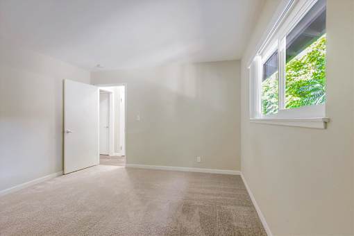 A room with a carpeted floor and a window letting in natural light.