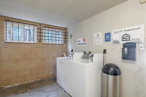 A bathroom with a sink, a window, and a trash can.