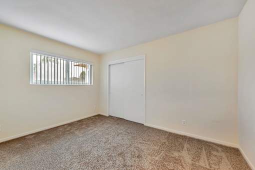 A room with a carpeted floor, a white door, and a window with blinds.