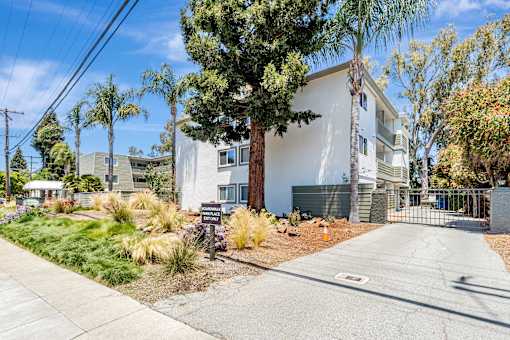 A white building with a tree in front of it.