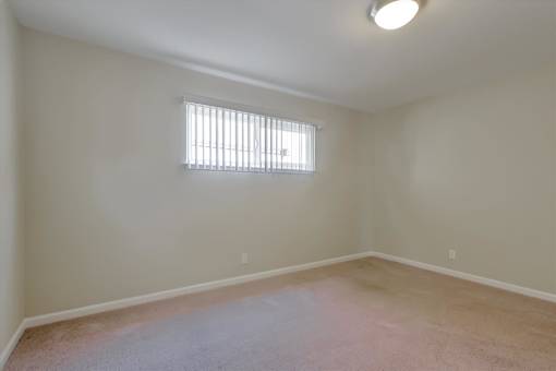 A room with a window and a carpeted floor.