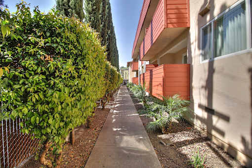 Courtyard View at Californian, Mountain View, California