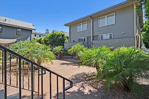 A sunny day at a residential area with apartment buildings and palm trees.