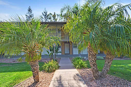 A house with a concrete walkway and two palm trees in front.