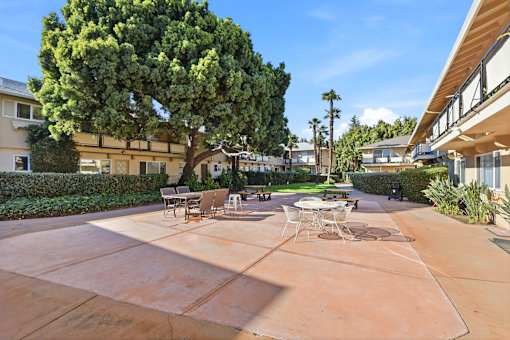 A courtyard with a tree and chairs.