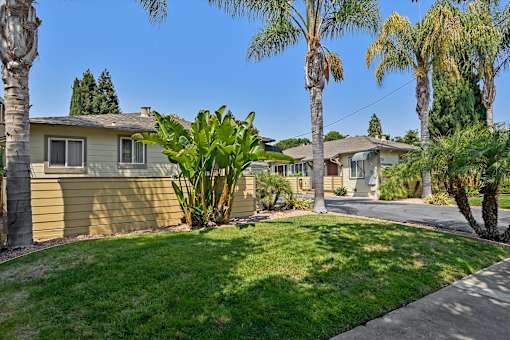 A house with a green lawn and palm trees in front.