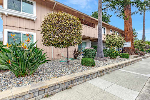A row of houses with a tree in front of the first one.