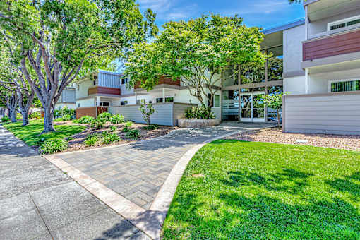 A residential area with a tree and a building.