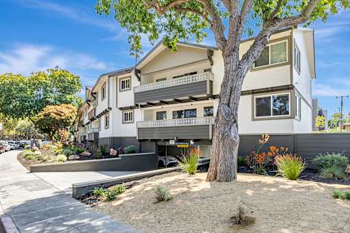 A tree in front of a two-story house.