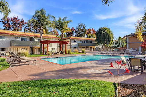 A pool surrounded by a patio and trees.
