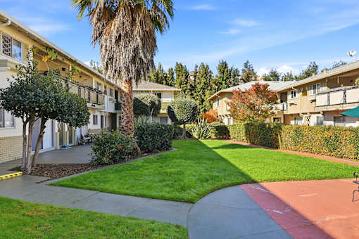 A sunny day at a residential area with apartment buildings and a palm tree.