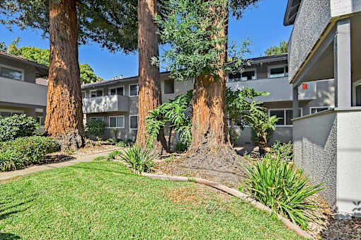 A tree in a yard in front of a building.