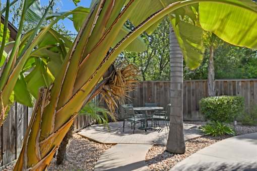 A patio with a table and chairs is surrounded by a wooden fence and a banana tree.