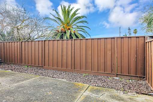 A brown fence with a palm tree in the background.