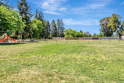 A large grassy field with trees and a fence in the distance.
