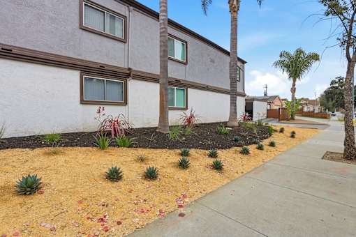 A row of houses with a sidewalk and landscaping in front.