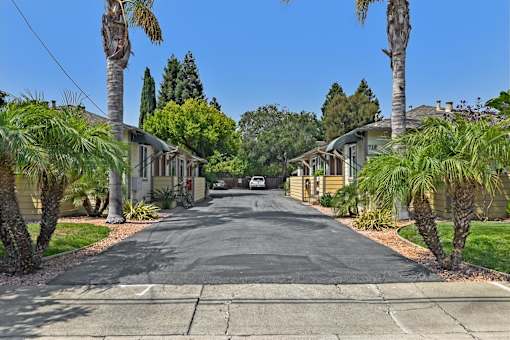 A residential street lined with palm trees and houses.