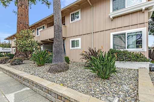 A beige building with a tree in front of it.