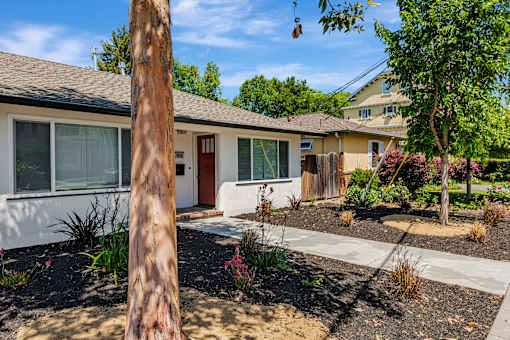A house with a brown door and a brown tree in front.