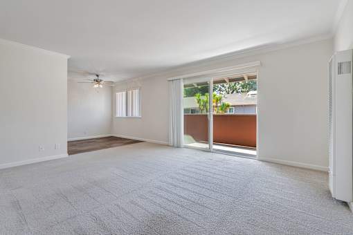 A spacious room with a carpeted floor and sliding glass doors leading to a balcony.