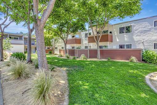 A tree in a yard in front of a building.