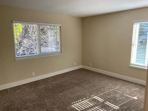 A room with a carpet on the floor and a window with blinds.