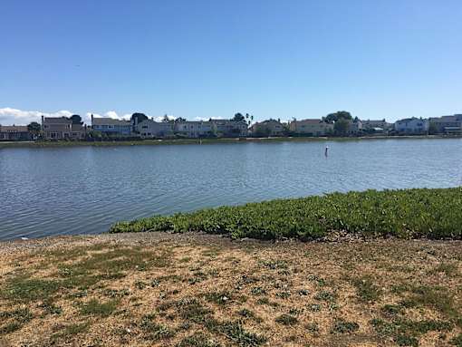 a body of water with houses on the other side of it