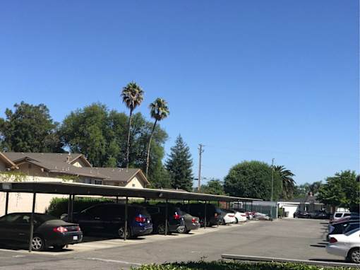 a parking lot filled with cars and palm trees
