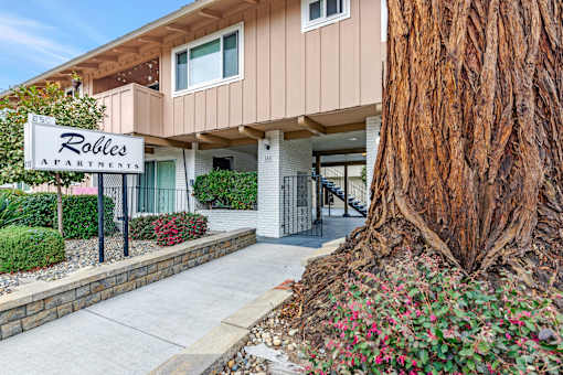 A tree is in front of a building with a sign that says "Robbies Apartments".