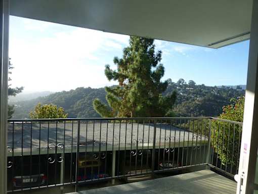 A balcony with a view of a tree and a mountain.