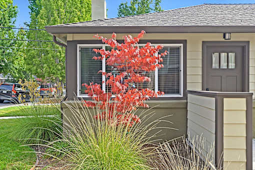A house with a red tree in front of it.