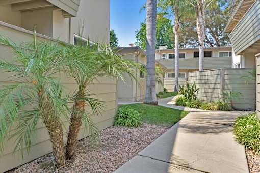 A palm tree is in front of a building.