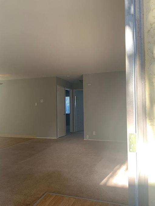 A room with a carpeted floor and a door.