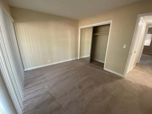 A room with a carpeted floor and a closet with a door.