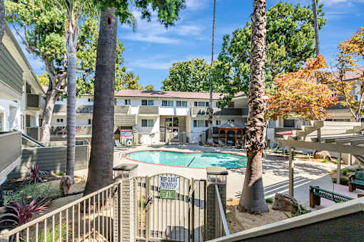 A pool surrounded by trees and a fence with a sign that says "No Dogs Allowed".