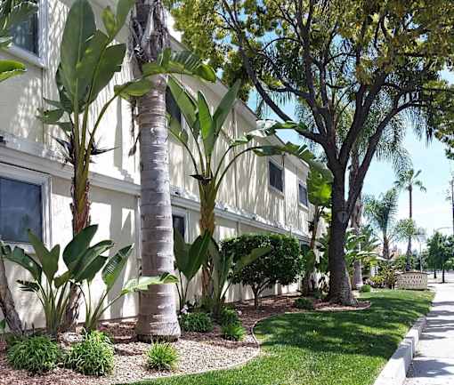 A white building with a tree in front of it.