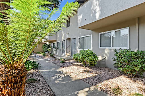 A concrete pathway leads to a row of houses with green plants on either side.