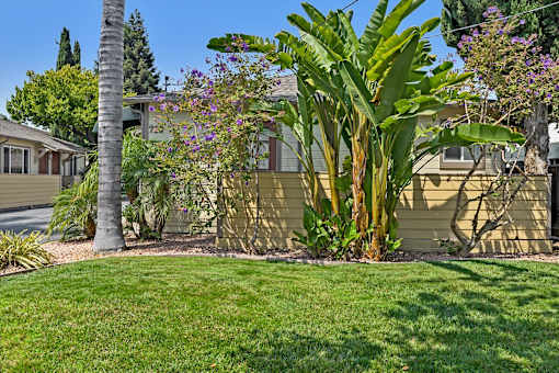 A well-kept lawn in front of a house with a palm tree and other plants.