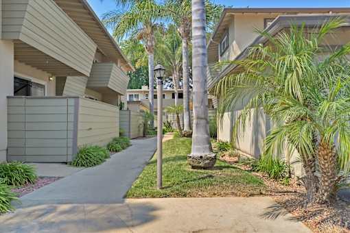 A residential area with a sidewalk and a palm tree.