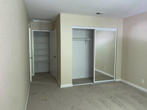 an empty bedroom with a closet and a carpeted floor